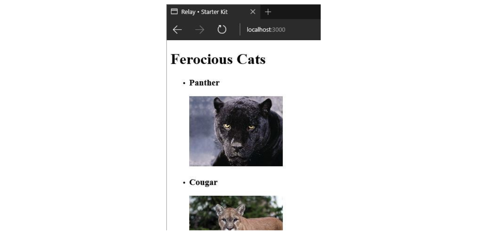 ferocious-cats-demo