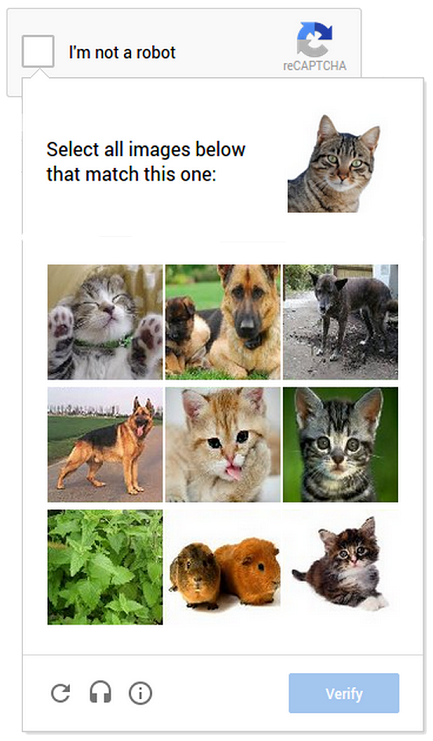 select images captach to verify if you are a robot
