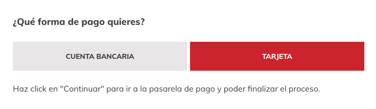payment-card-option-selected-on-the-donor-form