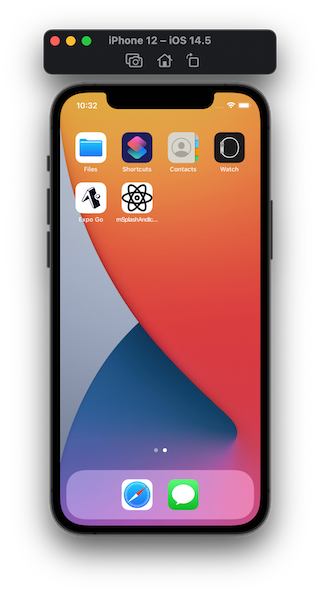 app icon iOS being displayed