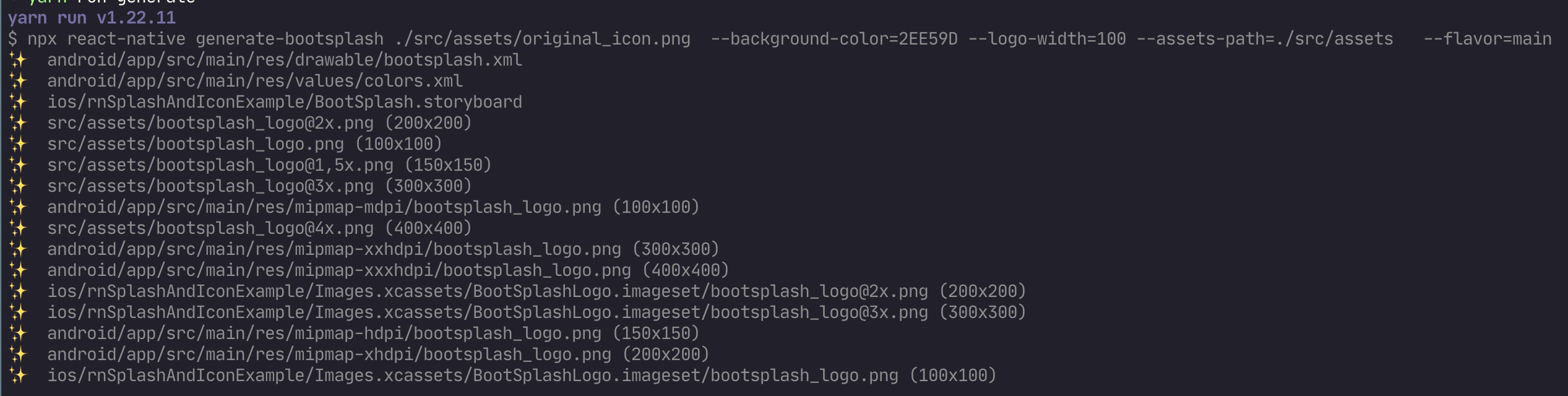 splash screen assets path specified for the option assets-path